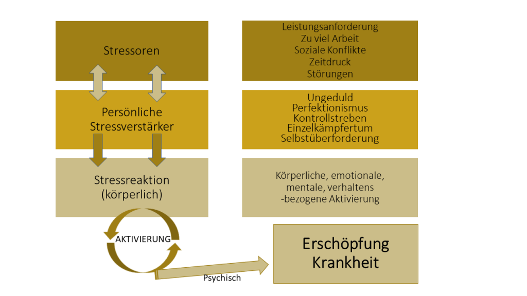 Stresstrias - Die drei Bestandteile des Stressgeschehens